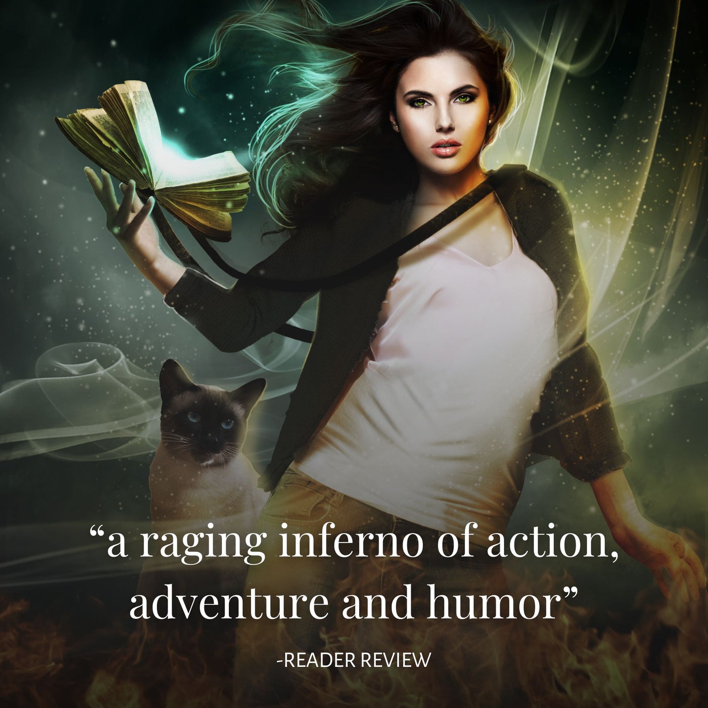 "a raging inferno of action, adventure and humor" reader review on cover image